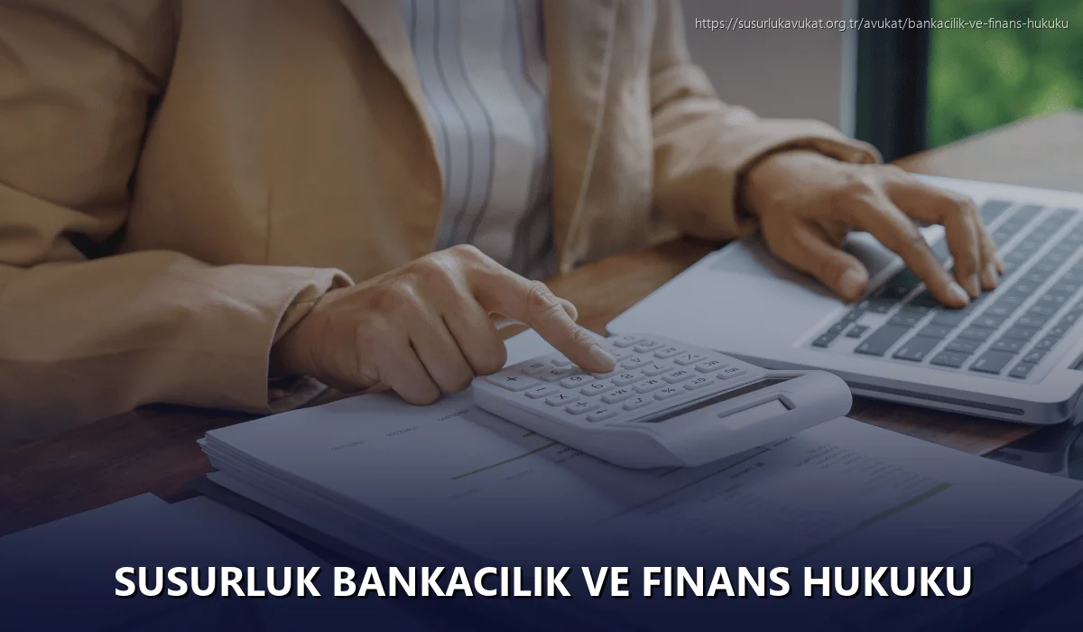 Susurluk Bankacılık ve Finans Hukuku