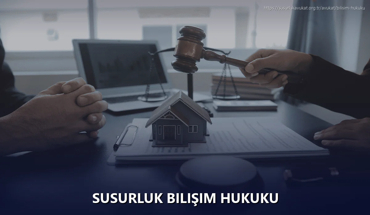 Susurluk Bilişim Hukuku