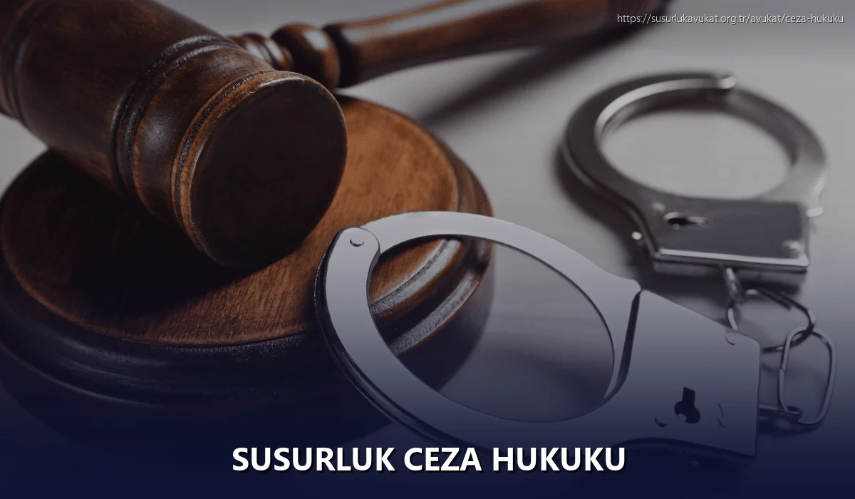 Susurluk Ceza Hukuku