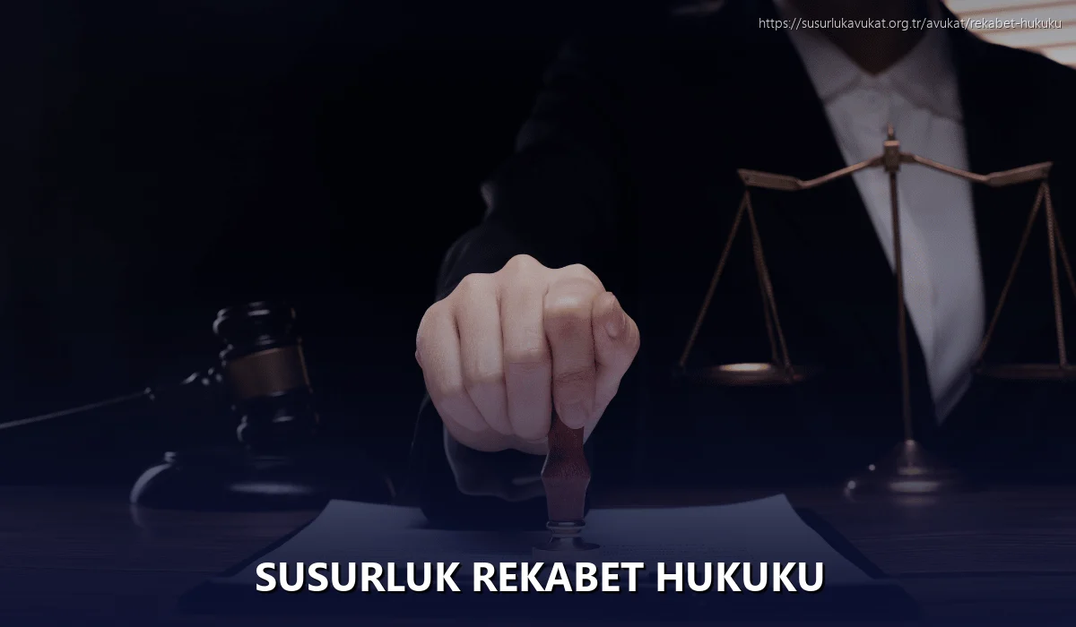 Susurluk Rekabet Hukuku