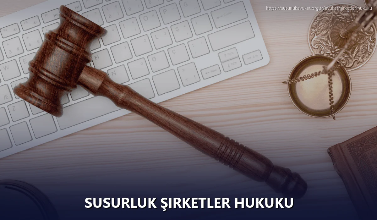 Susurluk Şirketler Hukuku