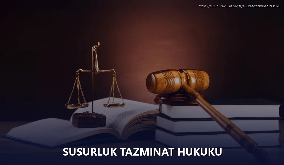 Susurluk Tazminat Hukuku